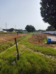 Khera Choganpur Plot View 2