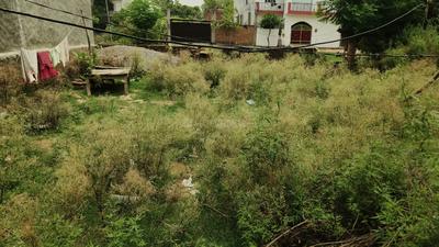 Vijay Nagar Colony Plot View 2