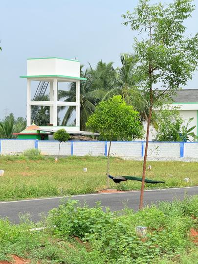 Amman Nagar Phase 1 Main Image 1