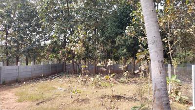 Image of 2400 Sq.ft Residential Plot / Land for sale in Singaperumal Koil, Chennai for Rs. 6240000