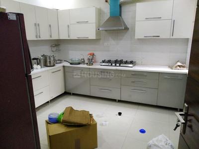 Kitchen Image of 1800 Sq.ft 2 BHK Builder Floor for rent in Bhai Randhir Singh Nagar Ludhiana for Rs. 19800