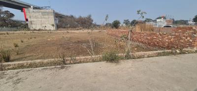 Anora Kala Plot View 3
