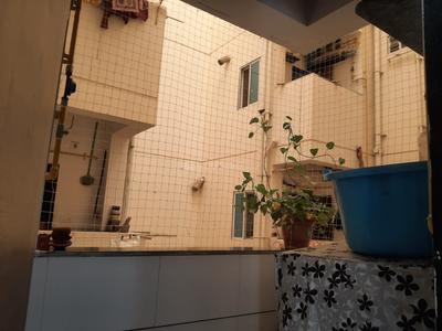 Kitchen Image of 850 Sq.ft 2 BHK Apartment / Flat for rent in Harni Vadodara for Rs. 20000