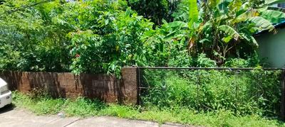 Ayyanthole Plot View 2