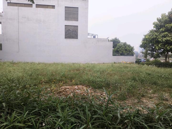 Landmark Avana Main Image 1