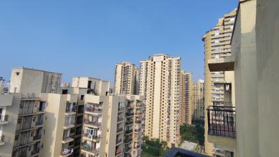 Living Room Image of 650 Sq.ft 1 BHK Apartment / Flat for rent in Maxblis Grand Wellington, Sector 75 Noida for Rs. 24000