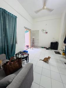 Hall Image of 650 Sq.ft 1 BHK Apartment / Flat for sale in Lunkad Daffodils, Viman Nagar Pune for Rs. 8500000