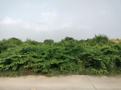 Image of 1134 Sq.ft Residential Plot / Land for sale in Sector 98, Faridabad for Rs. 17000000