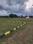 City Plots Main Image 1