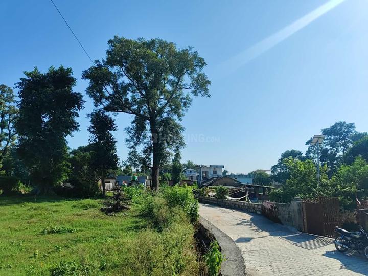 Vikasnagar Main Image 1