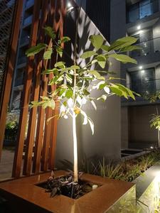 Image of 3150 Sq.ft 4 BHK Apartment / Flat for sale in Glorina World, Vesu, Surat for Rs. 17300000