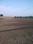 Image of 13000 Sq.ft Residential Plot / Land for sale in Jadcherla, Hyderabad for Rs. 30000000