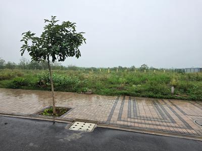 Trident Hills 1 Plot View 3