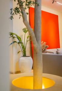 Hall Image of 4200 Sq.ft 4 BHK Villa for sale in Assagao Goa for Rs. 110000000