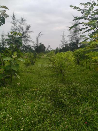 Sri Bangaramma garden farm land Main Image 1