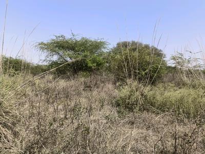 Image of 32 Sq.ft Residential Plot / Land for sale in Puth Khurd, New Delhi for Rs. 5400000