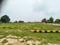 Garden ganje Lucknow Plot View 2
