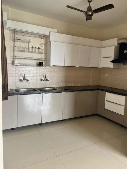 United La Prisma Main Image 1