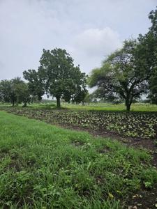 Image of 5500 Sq.ft Residential Plot / Land for sale in Mirjapur, Indore for Rs. 8500000