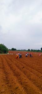 Image of 43560 Sq.ft Residential Plot / Land for sale in Mangalpally, Ranga Reddy for Rs. 9000000