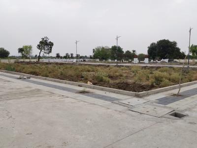 RR Pearl Leaf Plot View 3