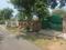 Cassia Nodosa Estate Main Image 1