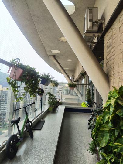 Nahar Burberry and Bryony Main Image 1