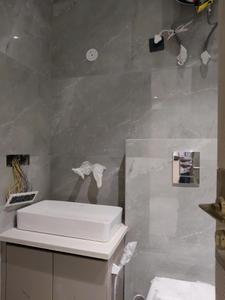 Common Bathroom Image of 3700 Sq.ft 4 BHK Builder Floor for sale in Sector 56 Gurgaon for Rs. 50000000