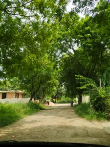 Image of 189 Sq.ft Residential Plot / Land for sale in Ansal Sushant City, Sector 61, Sonipat for Rs. 24600000
