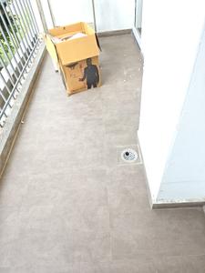 Balcony Image of 1359 Sq.ft 3.5 BHK Apartment / Flat for sale in M3M Soulitude , Sector 89 Gurgaon for Rs. 16600000