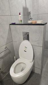 Bathroom Image of 3300 Sq.ft 4 BHK Apartment / Flat for sale in Tarnaka Secunderabad for Rs. 41500000