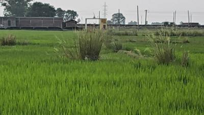 Image of 1360 Sq.ft Residential Plot / Land for sale in Chandauti, Gaya for Rs. 5500000