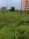 Vastral Plot View 2