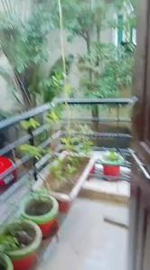Balcony Image of 1200 Sq.ft 3 BHK Apartment / Flat for rent in Shubham Residency, Bijalpur Indore for Rs. 22000