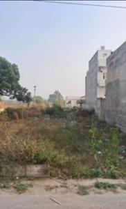 Sector 2 noida extension Plot View 1