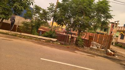 Kandi Plot View 1