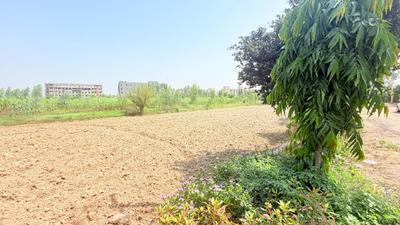 Image of 450 Sq.ft Residential Plot / Land for sale in Chhata, Mathura for Rs. 750000