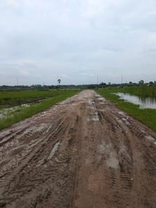 Swapnabhumi Internal Roads 1