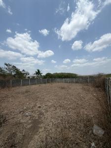Ashwamedh Plot View 3