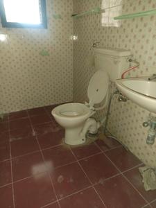 Common Bathroom Image of 1701 Sq.ft 3 BHK Apartment / Flat for rent in Wanowrie Pune for Rs. 46000