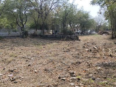 Shela Plot View 2