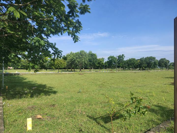 Fortune Main Image 1