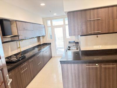 Kitchen Image of 3870 Sq.ft 4 BHK Apartment / Flat for sale in Central Park Resorts, Sector 48 Gurgaon for Rs. 140000000