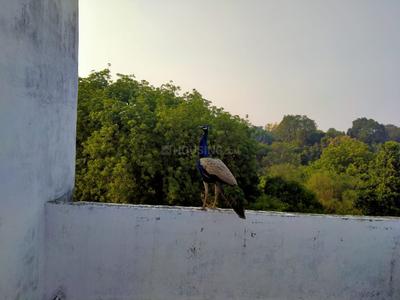 Balcony Image of 1400 Sq.ft 3 BHK Apartment / Flat for sale in George Town Allahabad for Rs. 7500000
