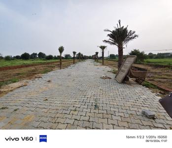 SSB GROUP Plot View 3