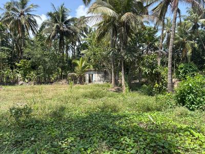 Image of 11700 Sq.ft Residential Plot / Land for sale in Vasai West, Vasai for Rs. 40000000