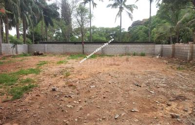 Image of 13068 Sq.ft Residential Plot / Land for sale in Ottapalam, Palakkad for Rs. 6000000