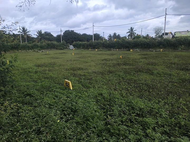 Telecom wood land city Main Image 1