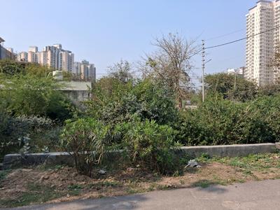 Sector 151 Plot View 1
