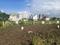 Wagholi Plot View 1
